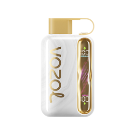 Vozol Star 40000 Melon Gum Disposable Vape Bar